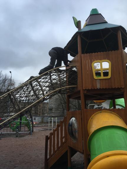 инспектор Анна 